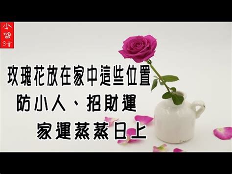 房間放玫瑰